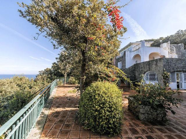 Villa Indipendente in vendita a Ischia, Campania