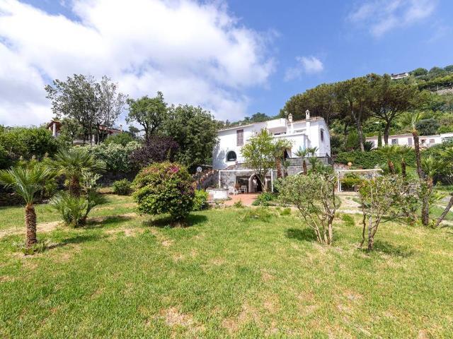 Villa Indipendente in vendita a Piripissa, Ischia