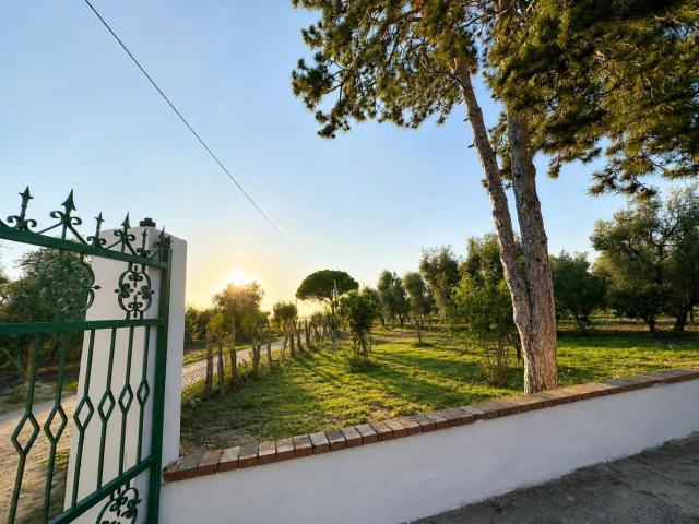 Villa Indipendente in vendita a Vico del Gargano, Foggia