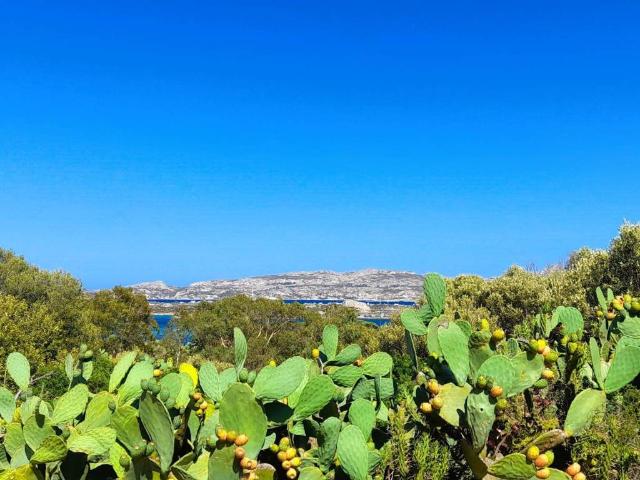 Villa Indipendente in vendita a Barabò, Villaggio Piras
