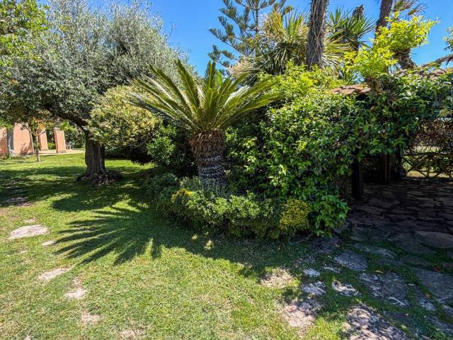 Villa Indipendente in vendita a Marina di San Nicola, Roma Capitale