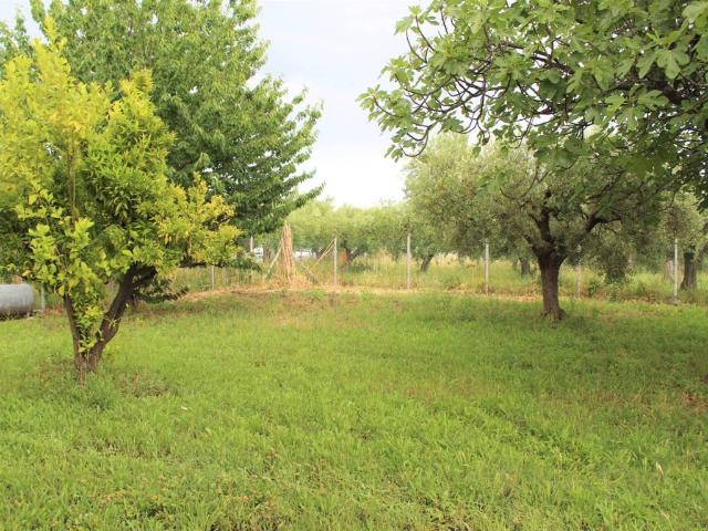 Villa Indipendente in vendita a Treglio, Abruzzo