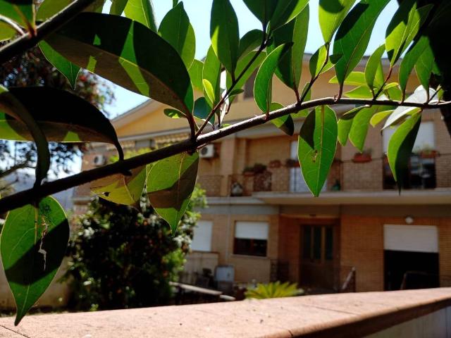 Villa Indipendente in vendita a Agora, Latina