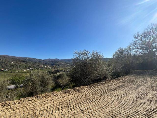 Villa Indipendente in vendita a Laureana Cilento, Campania