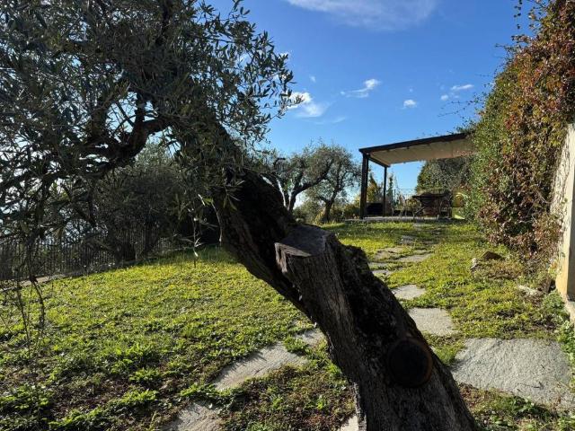 Villa Indipendente in vendita a Lavagna, Liguria