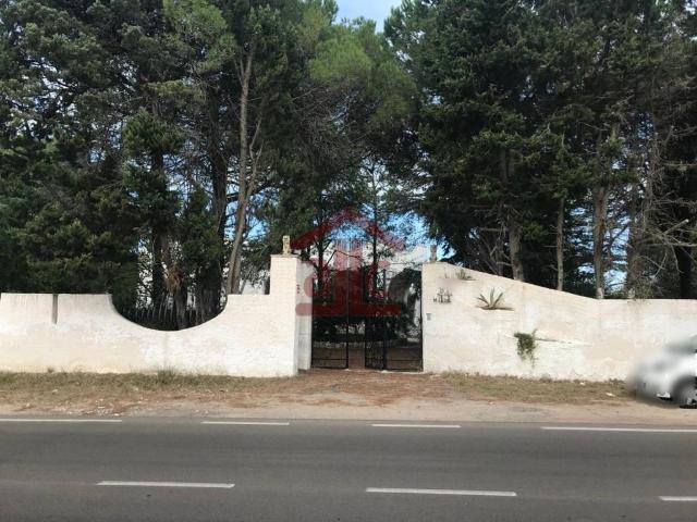 Villa Indipendente in vendita a Puglia, Lecce