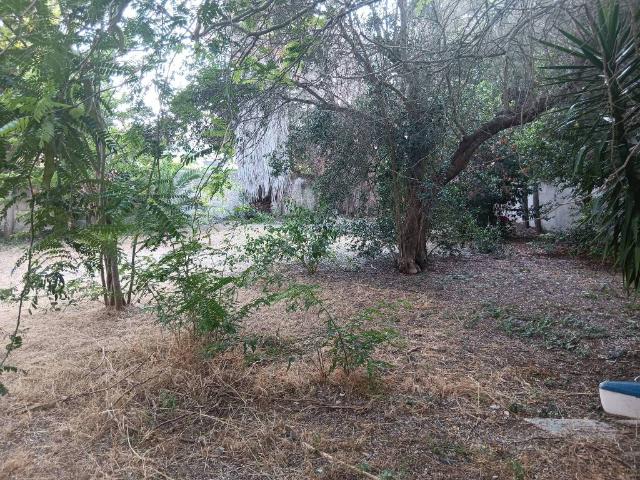 Villa Indipendente in vendita a San Cataldo, Puglia