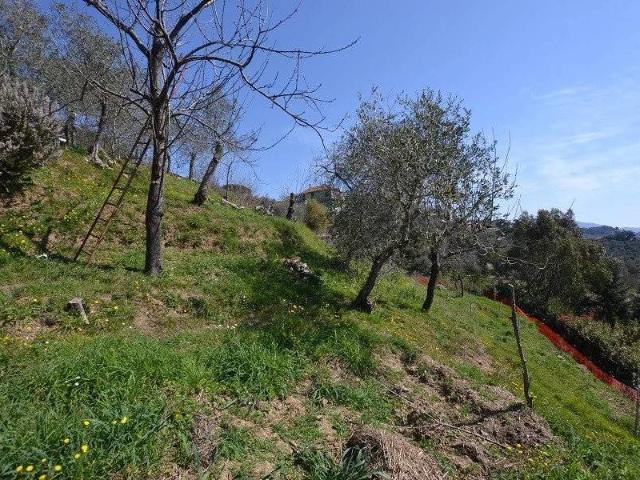 Terreno in vendita a Leivi, Liguria
