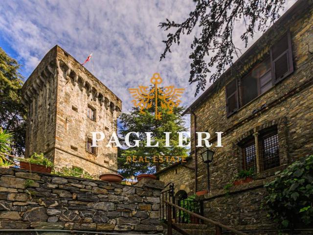 Villa Indipendente in vendita a Aigo, Leivi