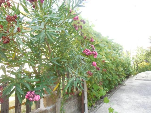 Villa Indipendente in vendita a Lettomanoppello, Pescara