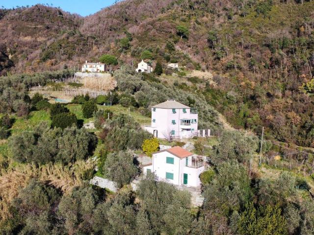 Villa Indipendente in vendita a Casella, Levanto