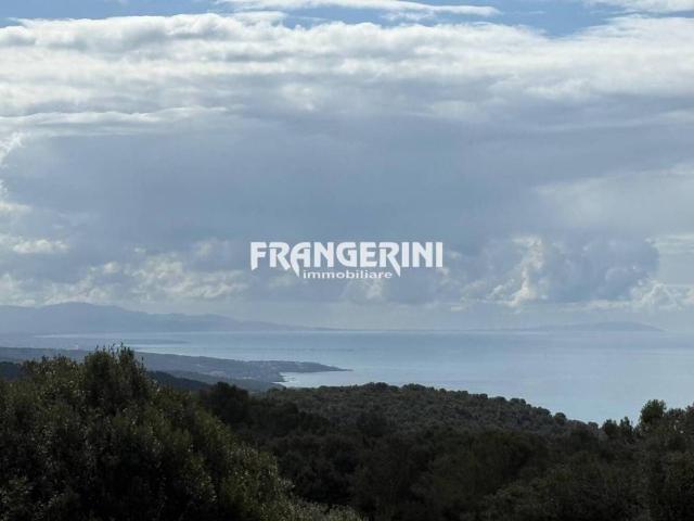 Villa Indipendente in vendita a Livorno, Toscana