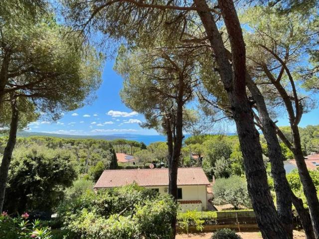 Villa Indipendente in vendita a Quercianella, Livorno