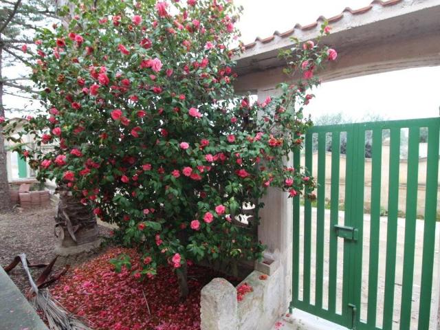 Villa Indipendente in vendita a Marina di Lizzano, Lizzano