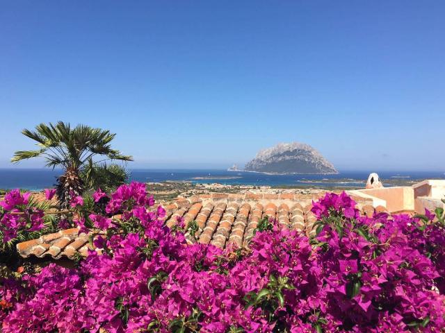 Villa Indipendente in vendita a Porto San Paolo, Sardigna/Sardegna