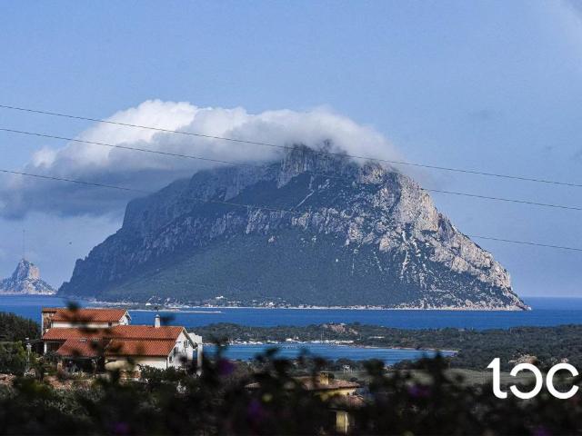 Villa Indipendente in vendita a Porto San Paolo, Sardigna/Sardegna