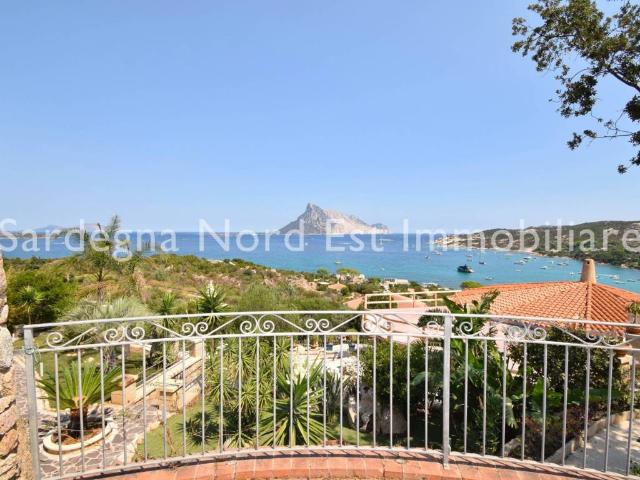 Villa Indipendente in vendita a Porto San Paolo, Sassari