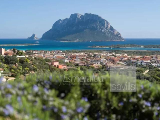Villa Indipendente in vendita a Porto San Paolo, Sardigna/Sardegna