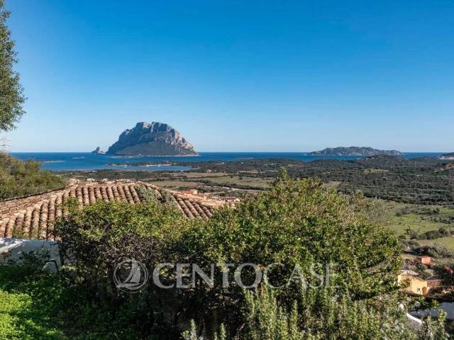 Villa Indipendente in vendita a Porto San Paolo, Sardigna/Sardegna