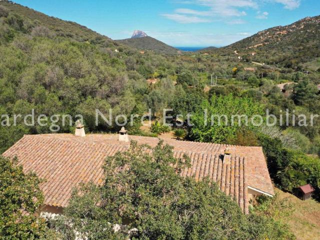 Villa Indipendente in vendita a Porto San Paolo, Sardigna/Sardegna