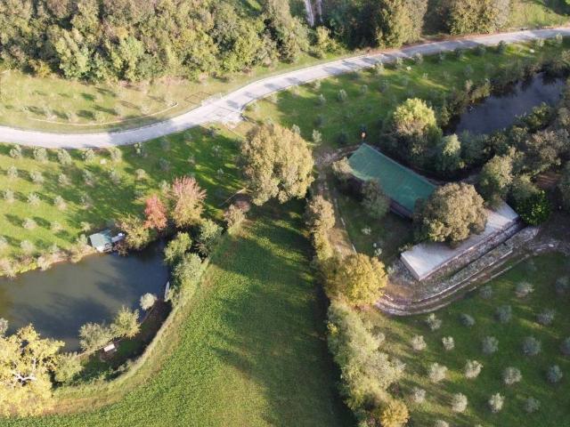 Villa Indipendente in vendita a Lonato, Lombardia
