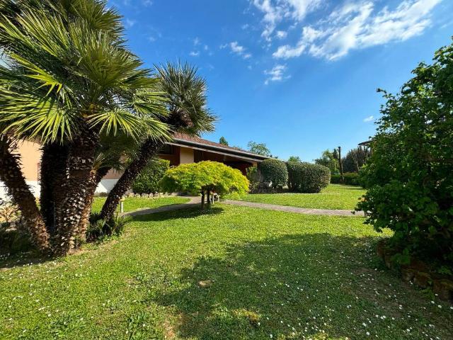 Villa Indipendente in vendita a Loreggia, Veneto