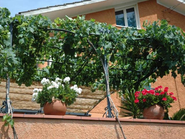 Villa Indipendente in vendita a Villa Costantina, Marche