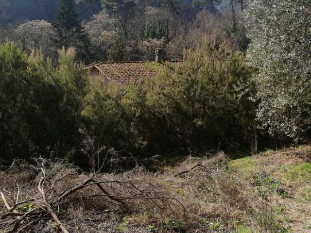 Villa Indipendente in vendita a San Macario in Piano, Bagni Di Lucca Ponte