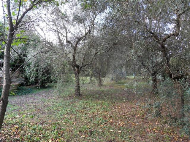 Villa Indipendente in vendita a Santa Maria a Colle, Bagni Di Lucca Ponte