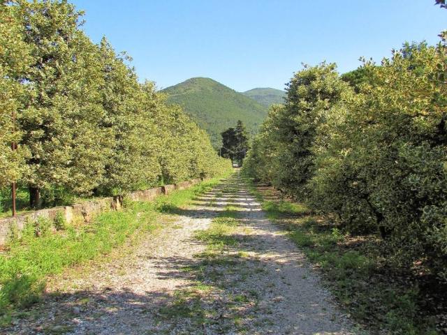 Villa Indipendente in vendita a Vicopelago, Bagni Di Lucca Ponte