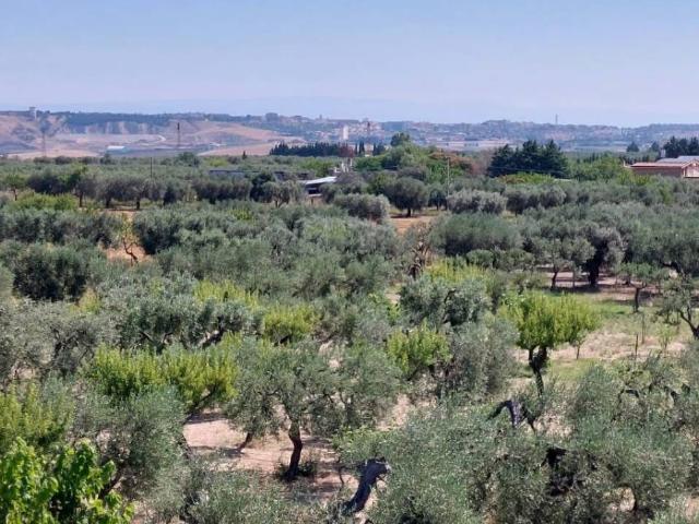 Villa Indipendente in vendita a Puglia, Foggia