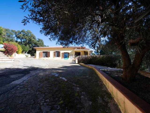Villa Indipendente in vendita a Luras, Sardigna/Sardegna