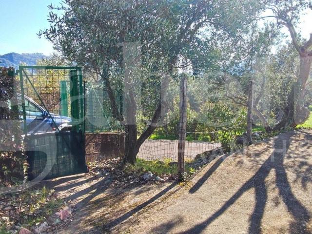 Villa Indipendente in vendita a Calabria, Catanzaro