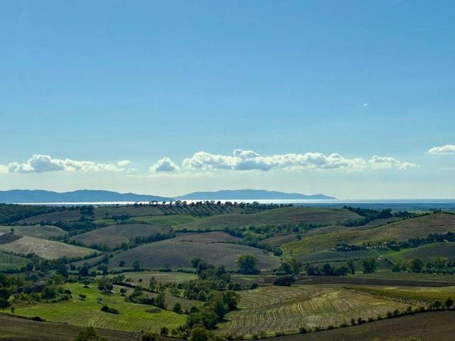 Villa Indipendente in vendita a Magliano In Toscana, Toscana