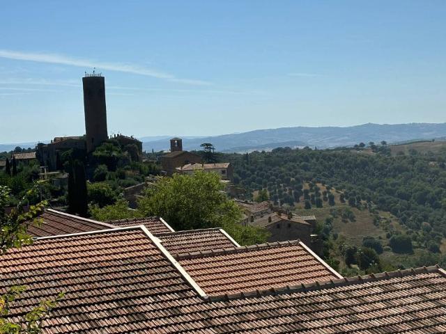 Villa Indipendente in vendita a Magliano In Toscana, Toscana