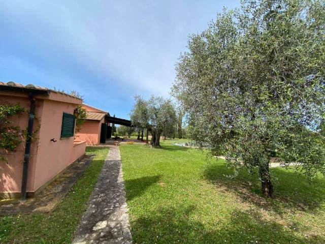 Villa Indipendente in vendita a Magliano In Toscana, Toscana