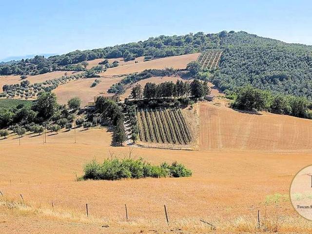 Villa Indipendente in vendita a Magliano In Toscana, Toscana