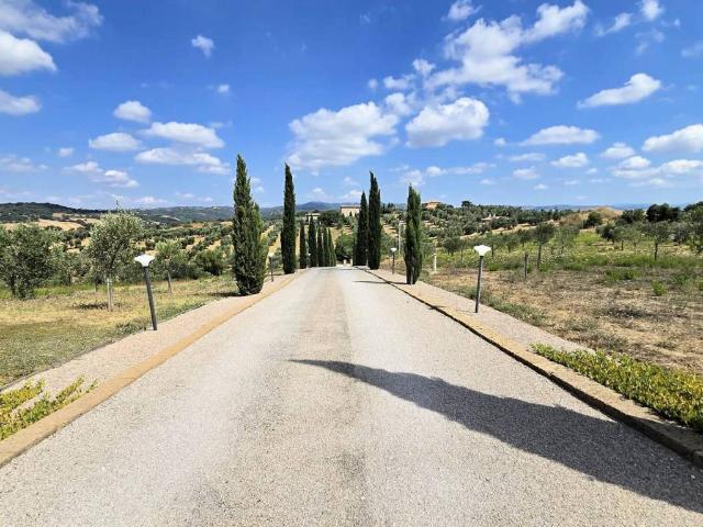 Villa Indipendente in vendita a Magliano In Toscana, Toscana
