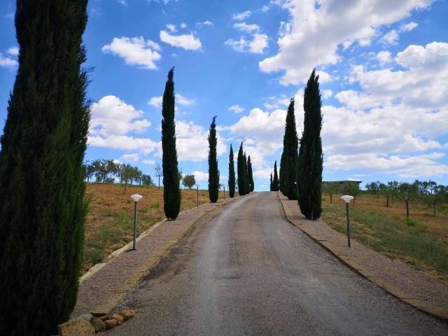 Villa Indipendente in vendita a Magliano In Toscana, Toscana