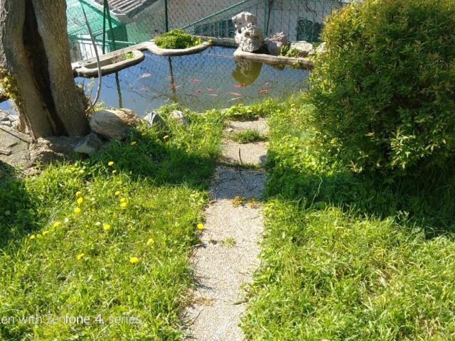 Villa Indipendente in vendita a Magliolo, Liguria