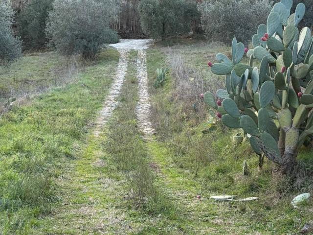 Villa Indipendente in vendita a Unione di Comuni Montani Colline del Fiora, Manciano