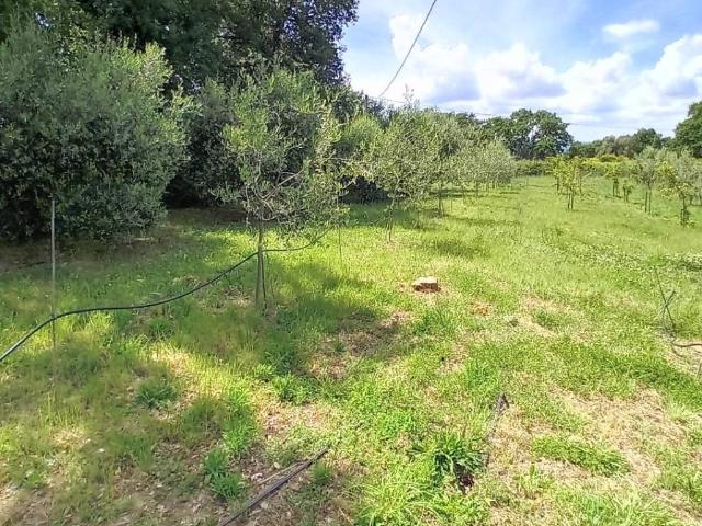 Villa Indipendente in vendita a Unione di Comuni Montani Colline del Fiora, Manciano