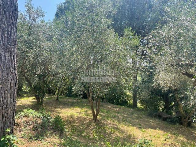 Villa Indipendente in vendita a Unione di Comuni Montani Colline del Fiora, Manciano