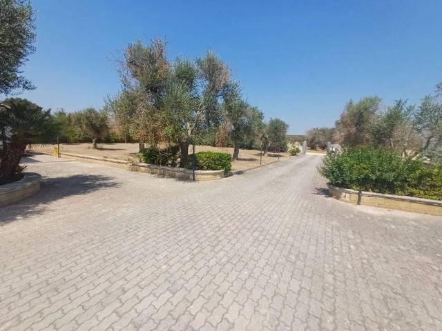 Villa Indipendente in vendita a Puglia, Taranto