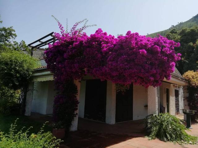 Villa Indipendente in vendita a Marina di Maratea, Maratea
