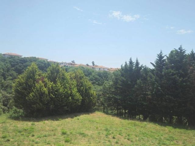Villa Indipendente in vendita a Calabria, Catanzaro
