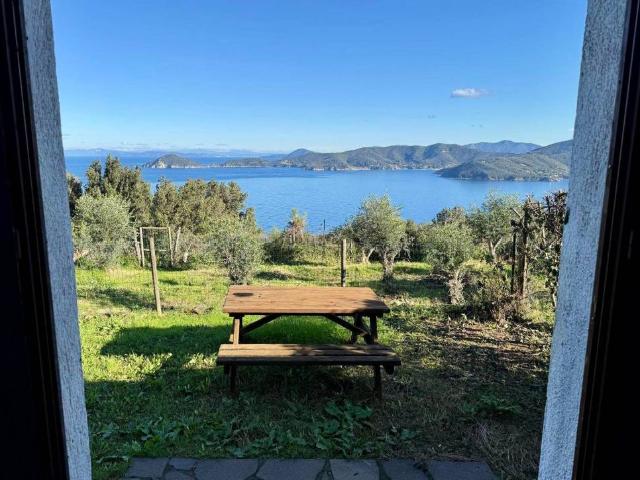 Villa Indipendente in vendita a Marciana Marina, Toscana