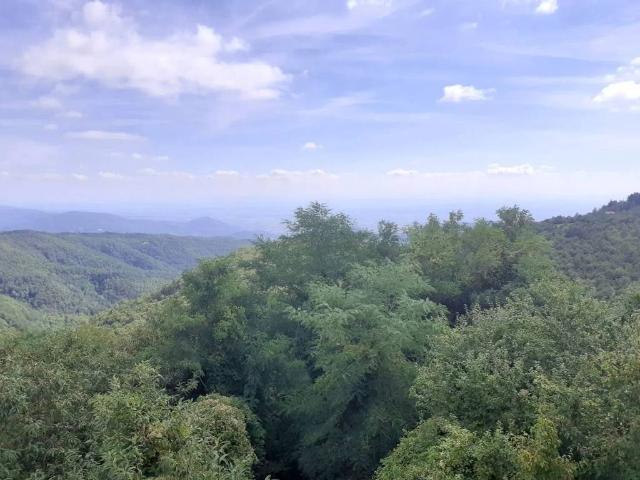 Villa Indipendente in vendita a Alteto, Marliana