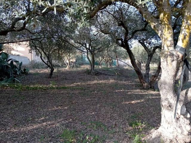 Villa Indipendente in vendita a Marsala, Sicilia
