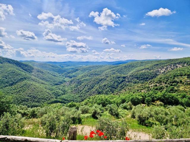 Villa Indipendente in vendita a Marsciano, Umbria